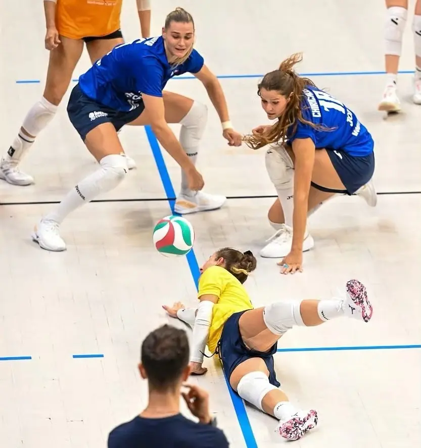 接应哈克 接应哈克